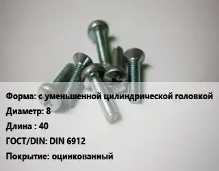Винт с уменьшенной цилиндрической головкой 8х40 DIN 6912 оцинкованный